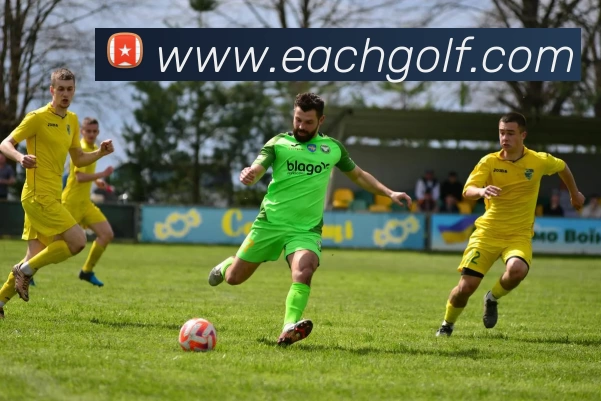 ag九游会平台生态图